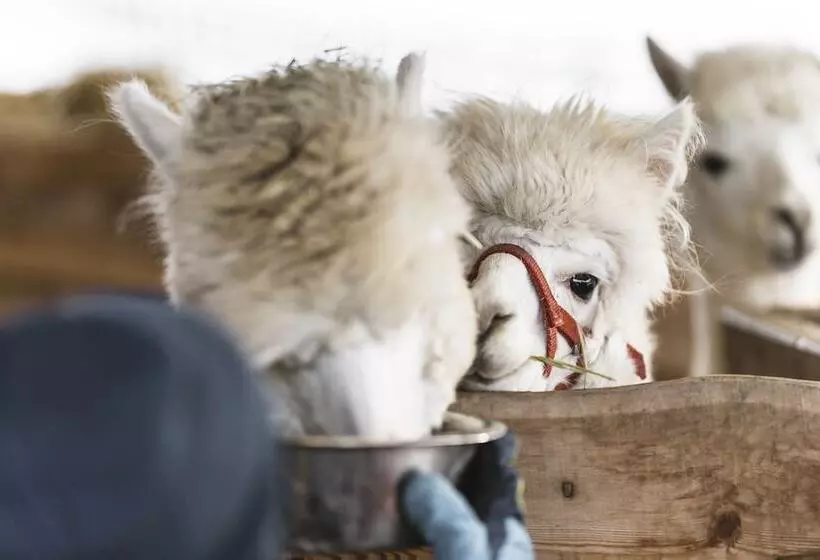 Family Aparthotel Winklwiese