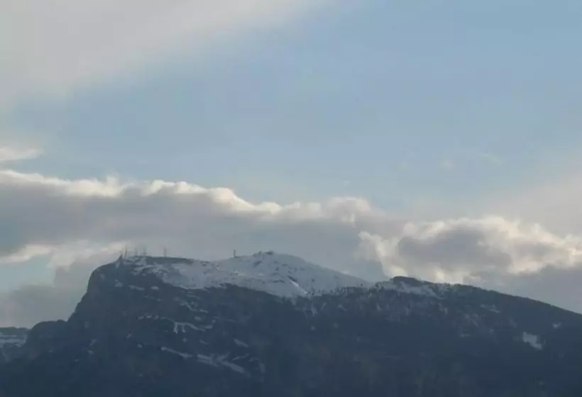 Отель Faedo Pineta