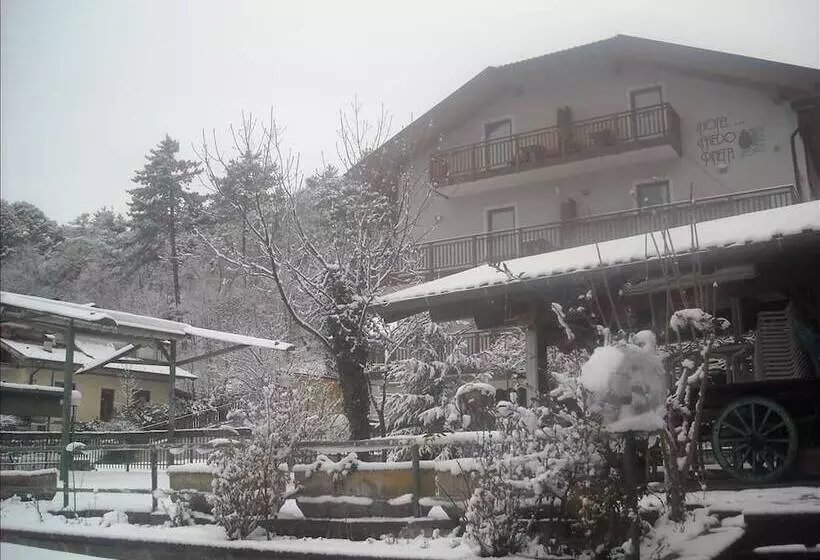 Отель Faedo Pineta