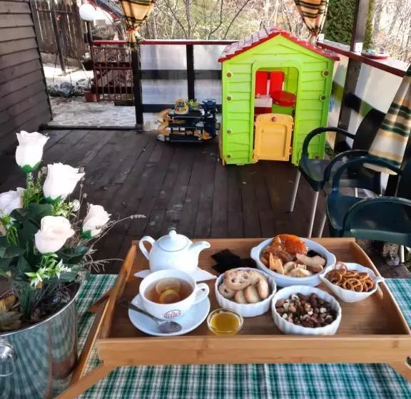 酒店 Pension Paunasul