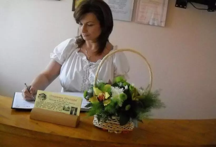 酒店 Pension Paunasul