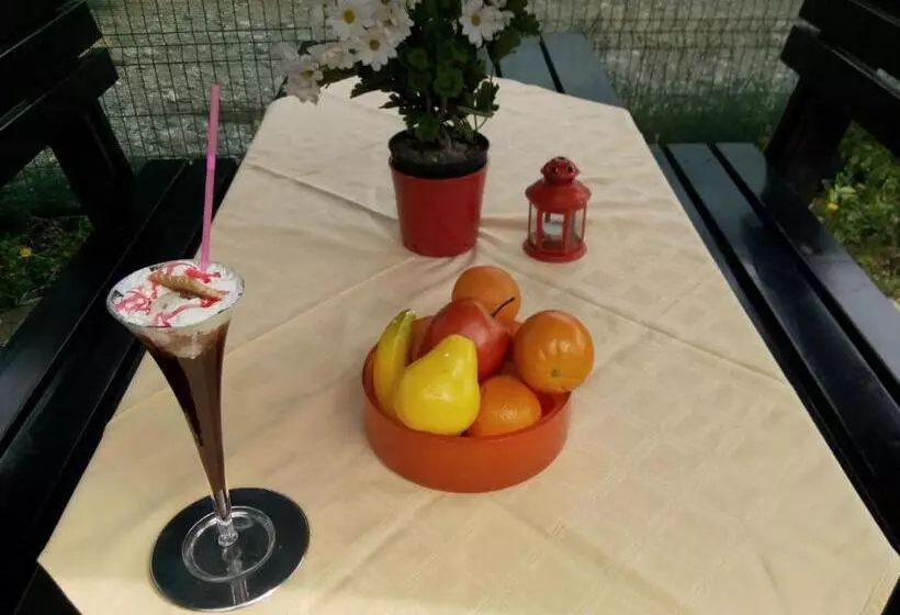 酒店 Pension Paunasul