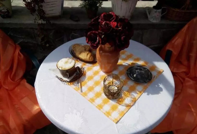 酒店 Pension Paunasul