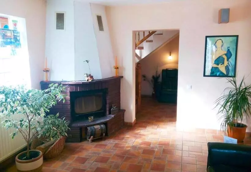 酒店 Pension Paunasul