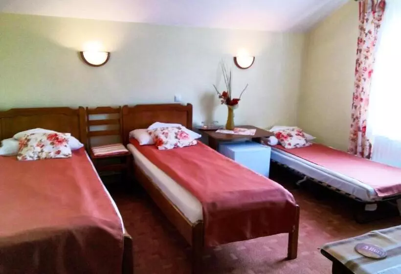 酒店 Pension Paunasul