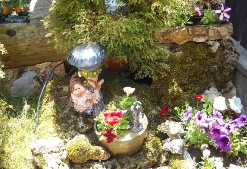 酒店 Pension Paunasul