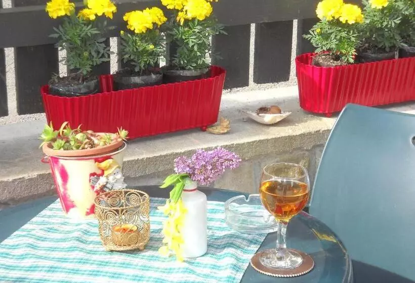 酒店 Pension Paunasul