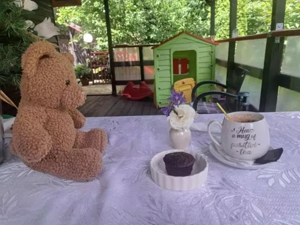 酒店 Pension Paunasul