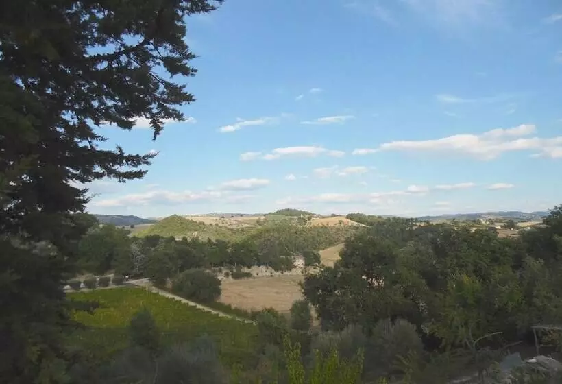 Podere Caldaruccio La Pineta