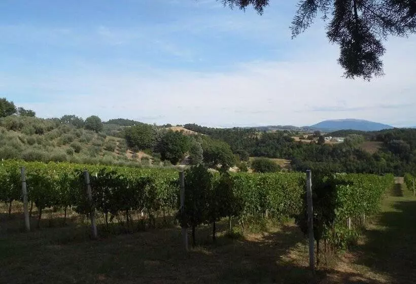Podere Caldaruccio La Pineta
