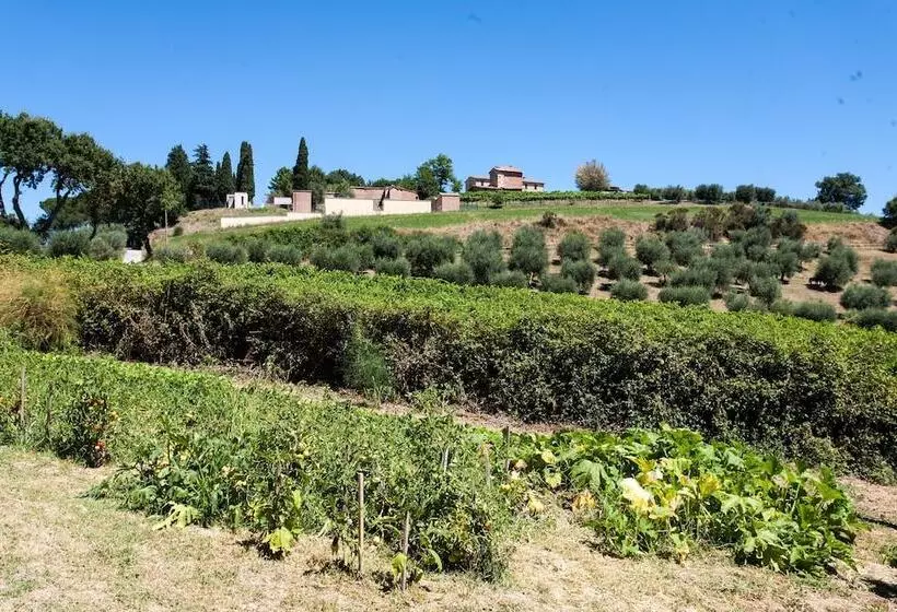 Podere Caldaruccio La Pineta
