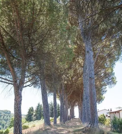 Podere Caldaruccio La Pineta