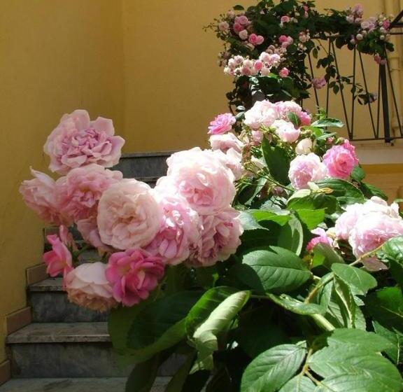 B&b Maison Rosetta Iun E4948