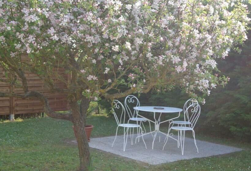 ベッドアンドブレックファースト La Grille Dorée