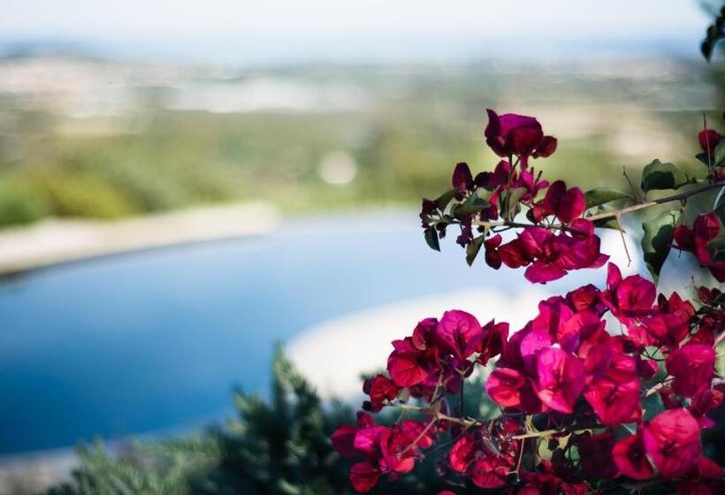 Bed and Breakfast Le Tre Civette Residenza Di Campagna