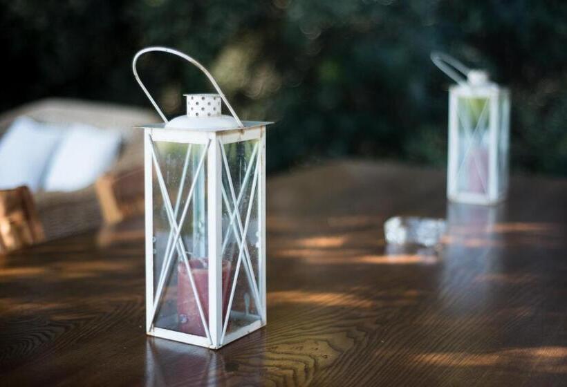 Bed and Breakfast Le Tre Civette Residenza Di Campagna