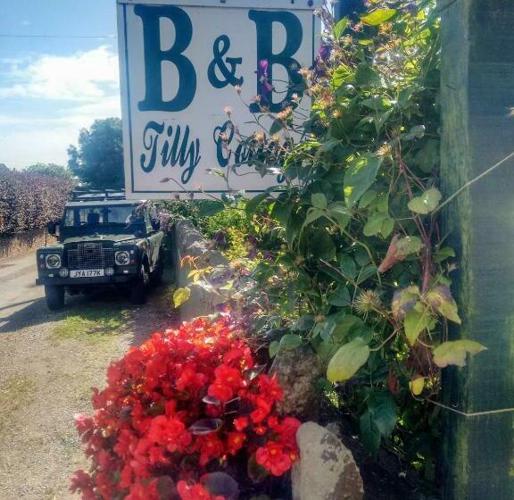 Bed and Breakfast Tilly Cottage