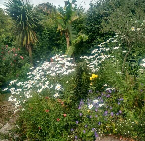 Bed and Breakfast Tilly Cottage