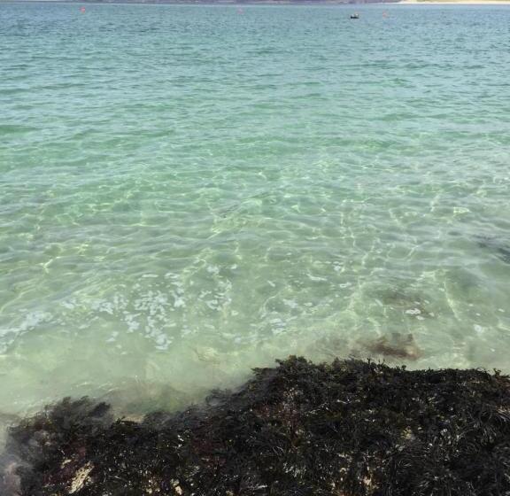 Bed and Breakfast Twenty Seven