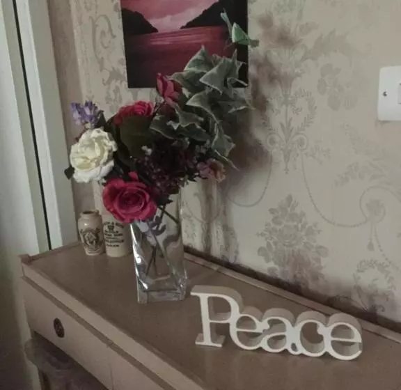 ベッドアンドブレックファースト Twenty Seven