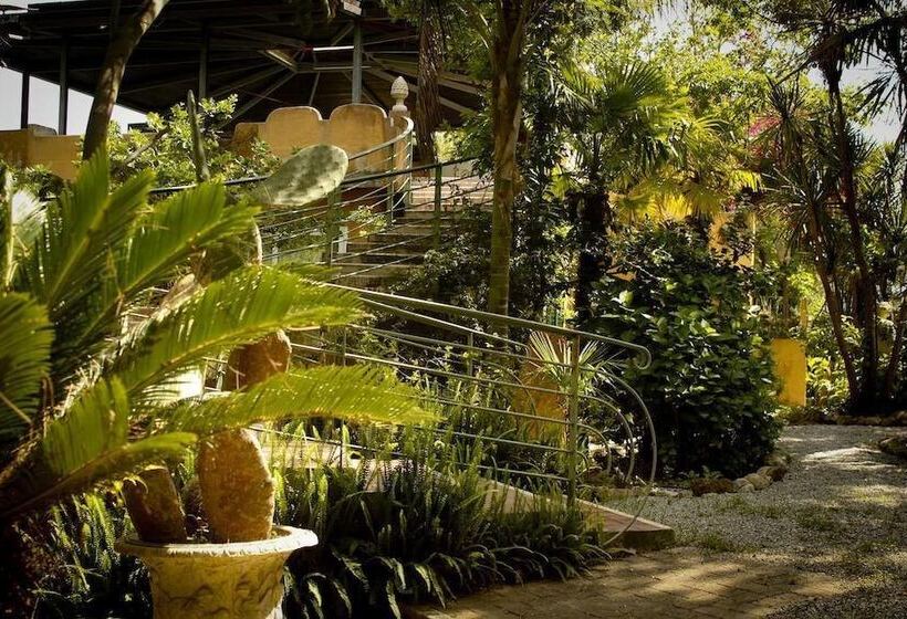 فندق فئة نجمة واحدة Marchese D Altavilla