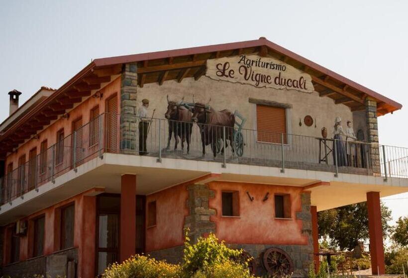 בית מלון כפרי Agriturismo Le Vigne Ducali