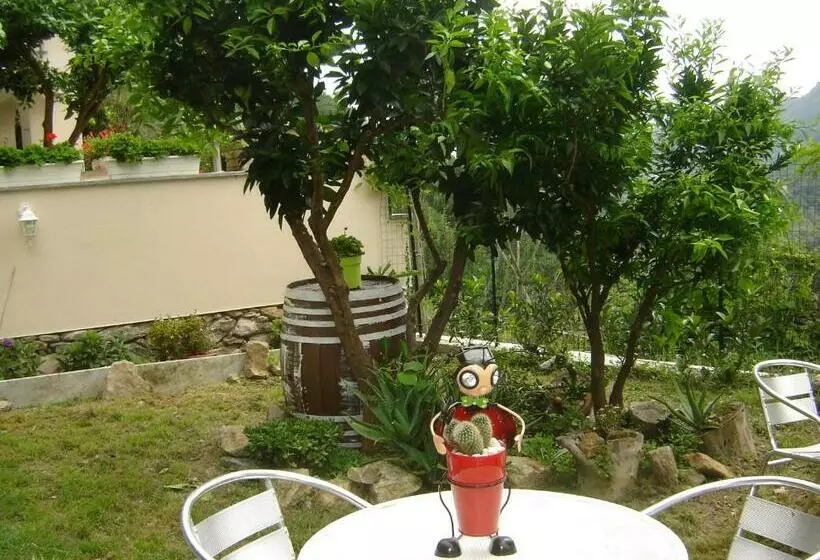 La Dolce Vita B&b
