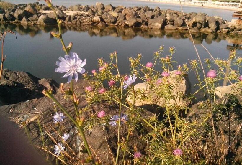 La Piazza Primorsko Rooms & Apartments