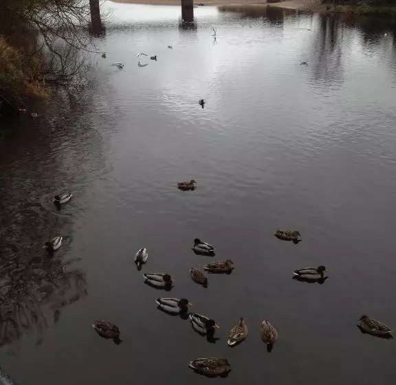 Maghernahar House B&b