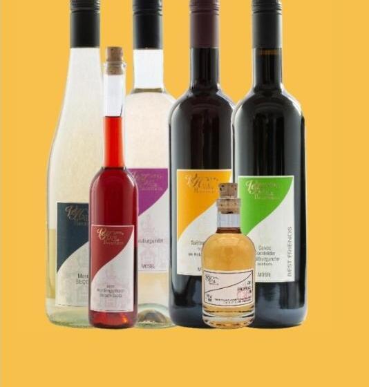 펜션 Ferienweingut Villa Hausmann