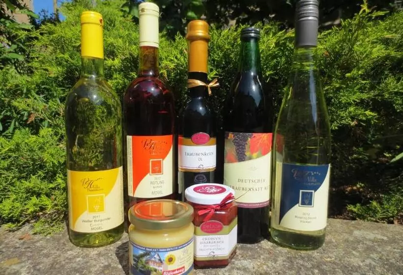 Majatalo Ferienweingut Villa Hausmann