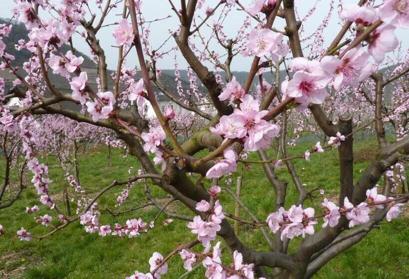 펜션 Ferienweingut Villa Hausmann