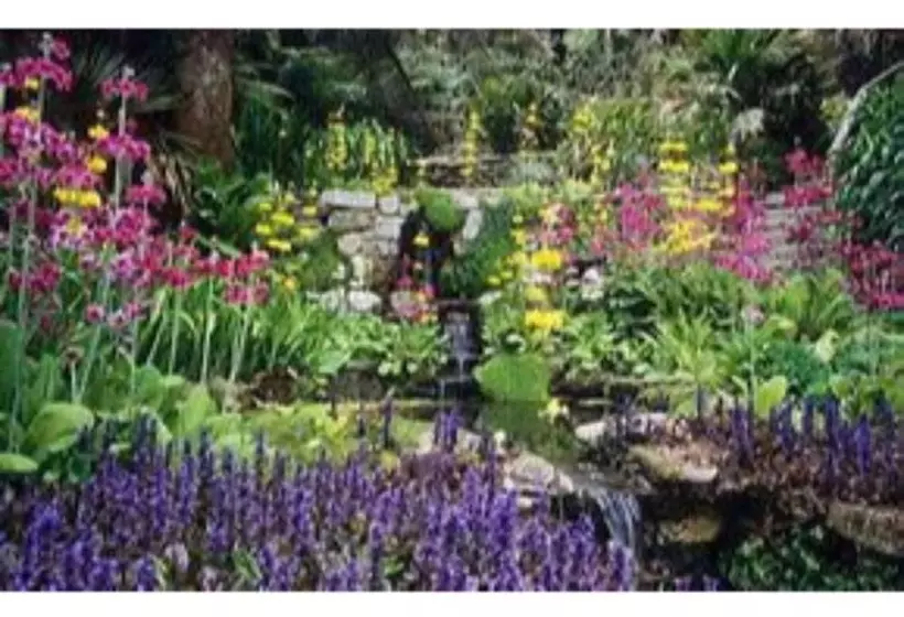 Trelawne Garden Annexe