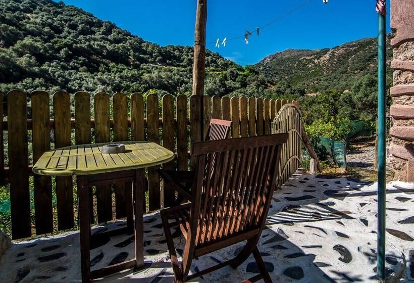 Pensionat Spitia Katoi