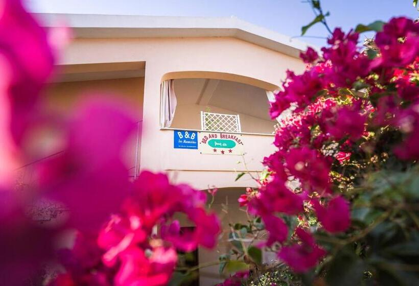 B&b Sos Manneddos
