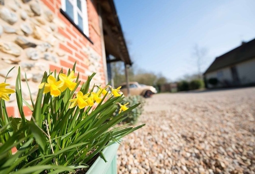 Bed and Breakfast Dickleburgh Crown