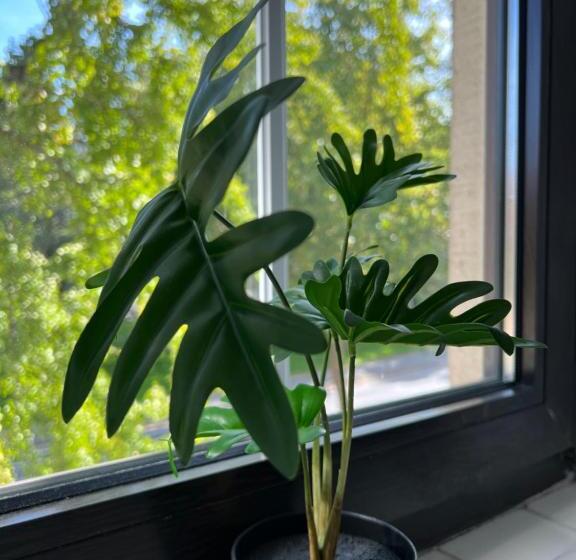 מוטל Geroweiher Doppelbettzimmer Mönchengladbach Stadtmitte