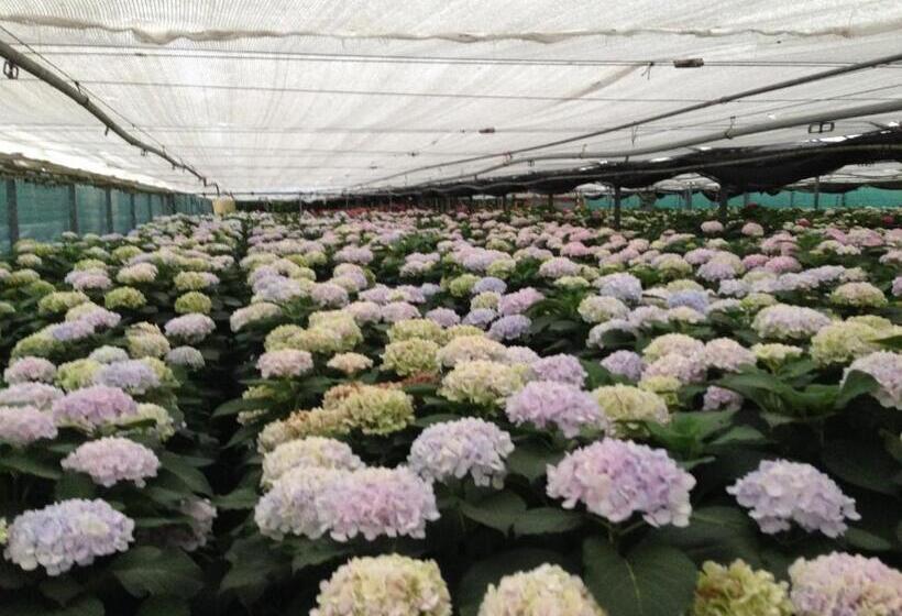 بنسيون Room In Apartment   Apartment In Farmhouse