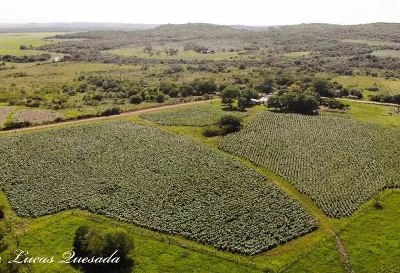 فندق Casino San Eugenio Del Cuareim