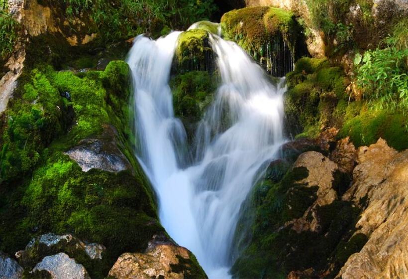 ホテル Der Abtenauer