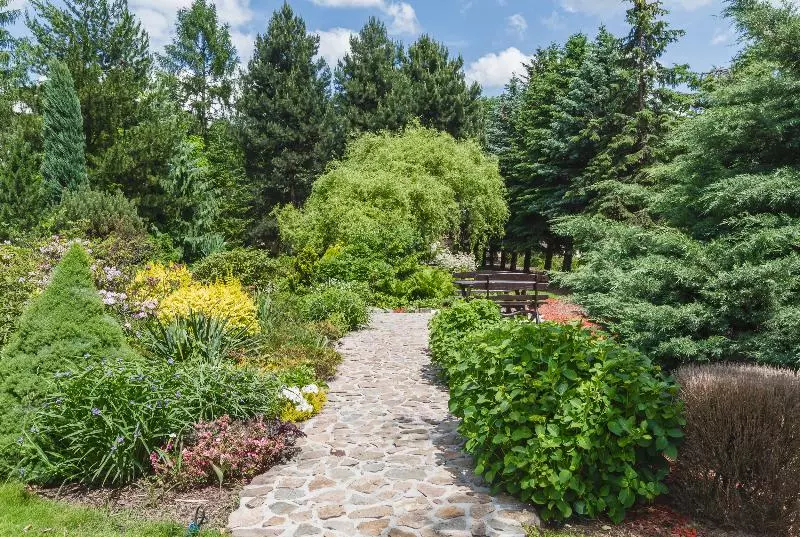 Отель Domus Mater