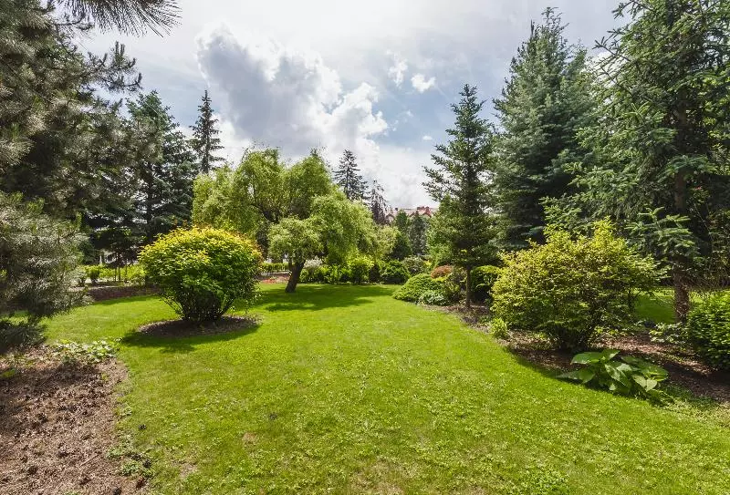 Отель Domus Mater