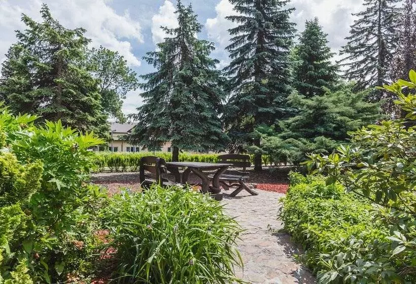 Отель Domus Mater