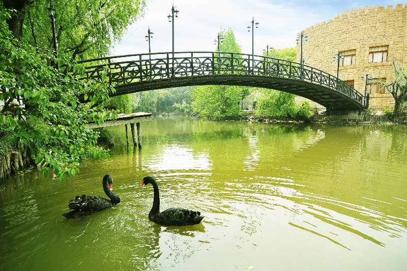 Otel Golden Villa Club