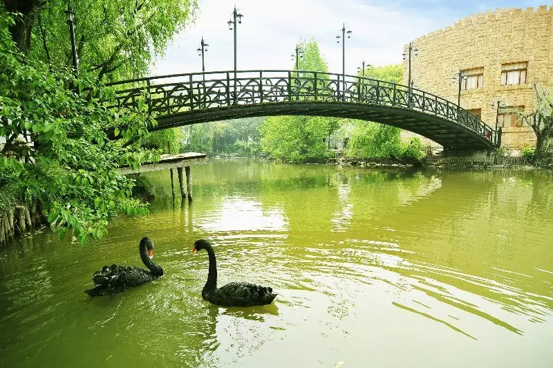 Otel Golden Villa Club