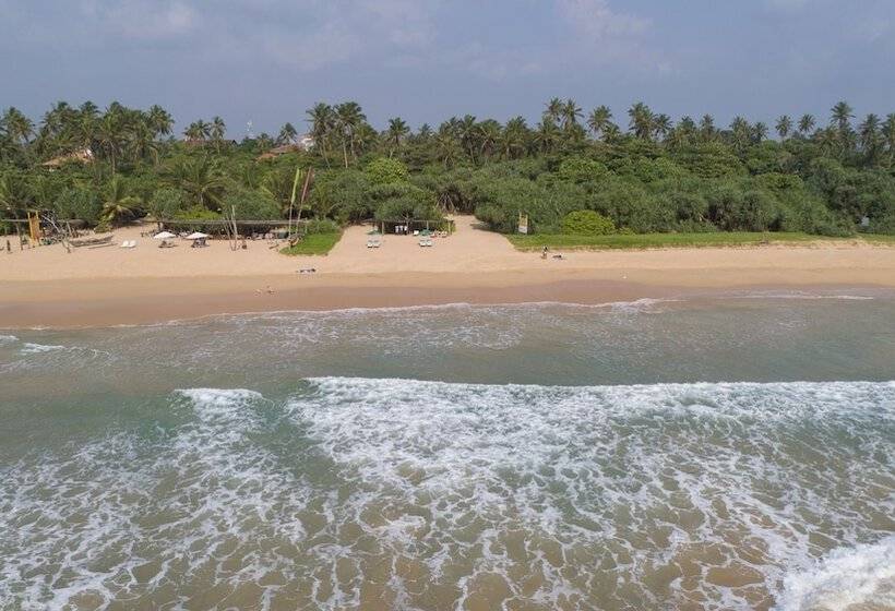 Отель Palm Beach Inn &sea Shells Cabanas