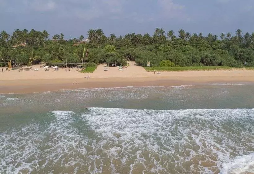 Hotel Palm Beach Inn &sea Shells Cabanas