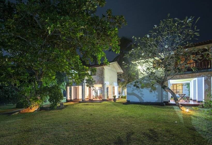 Отель Palm Beach Inn &sea Shells Cabanas