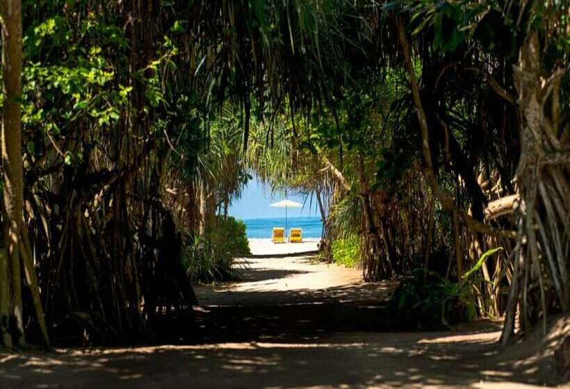 Отель Palm Beach Inn &sea Shells Cabanas