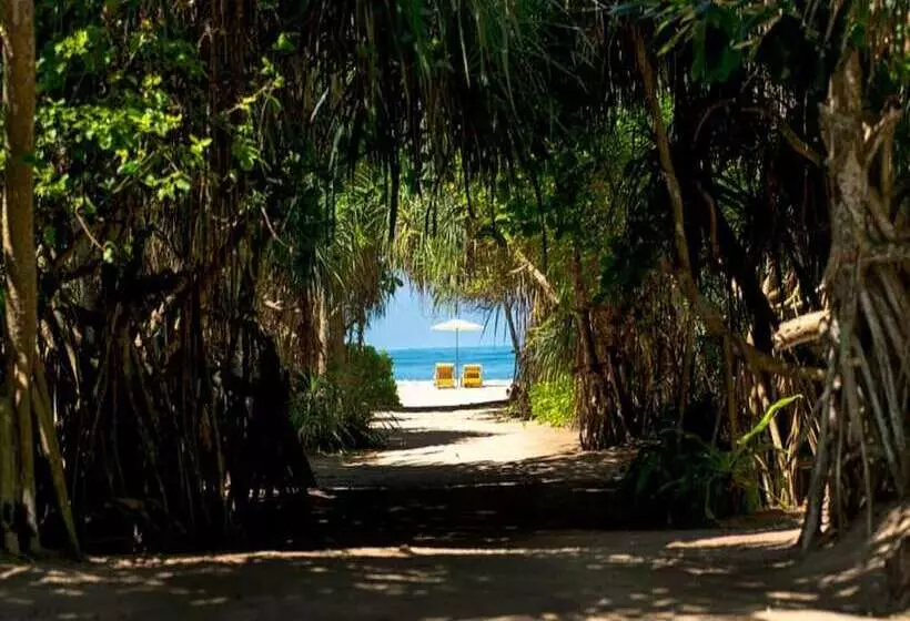 Hotel Palm Beach Inn &sea Shells Cabanas